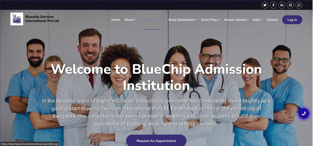 Blue Chip International